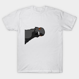 Pigeon T-Shirt